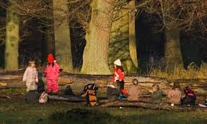 children playing in the wild